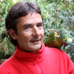 Martin Ludwig